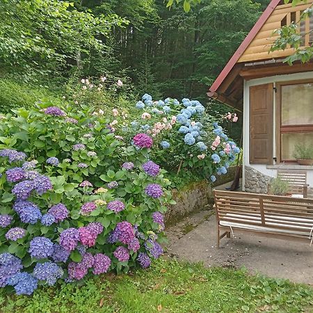 Holiday Home Vesna Brod na Kupi المظهر الخارجي الصورة