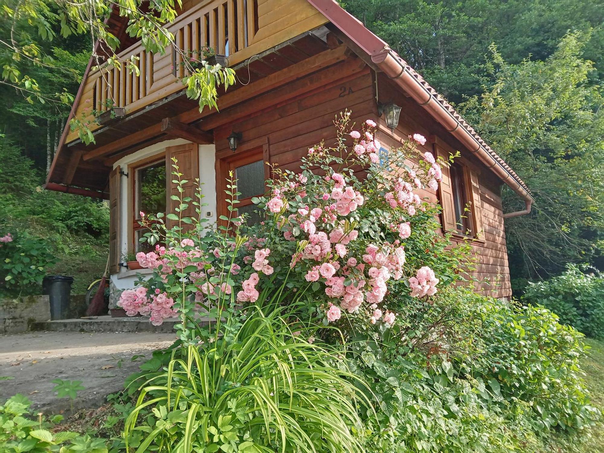 Holiday Home Vesna Brod na Kupi المظهر الخارجي الصورة