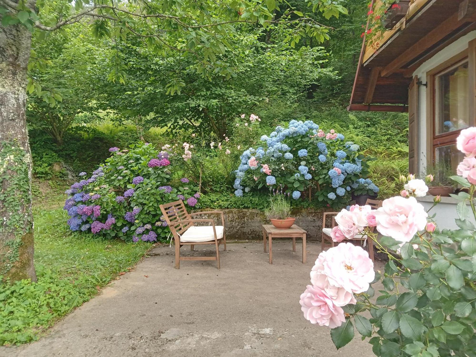 Holiday Home Vesna Brod na Kupi المظهر الخارجي الصورة
