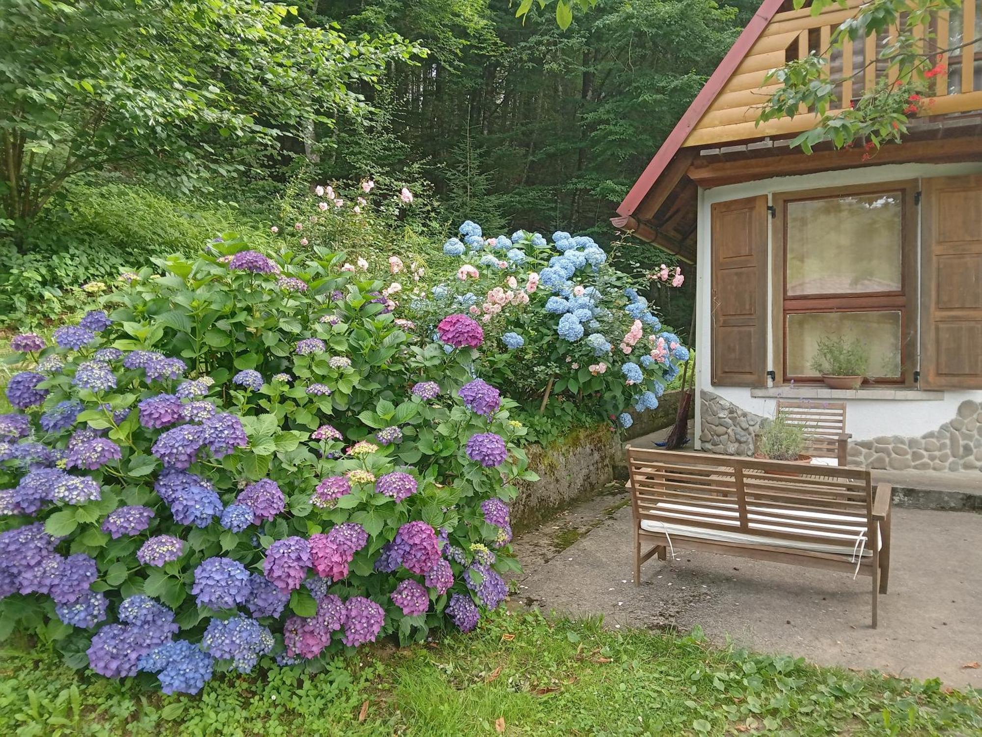Holiday Home Vesna Brod na Kupi المظهر الخارجي الصورة